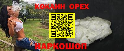 индика Сланцы
