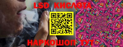 индика Сланцы