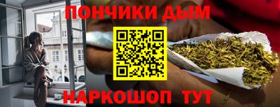 индика Сланцы