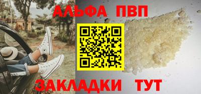 индика Сланцы