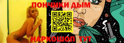 индика Сланцы