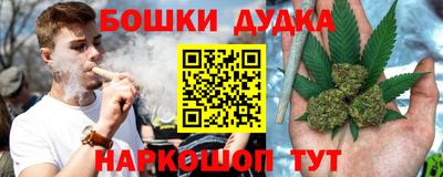 индика Сланцы