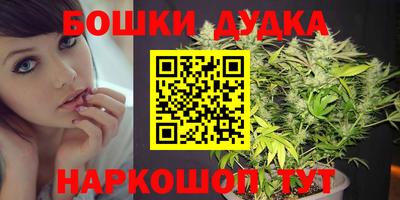 индика Сланцы