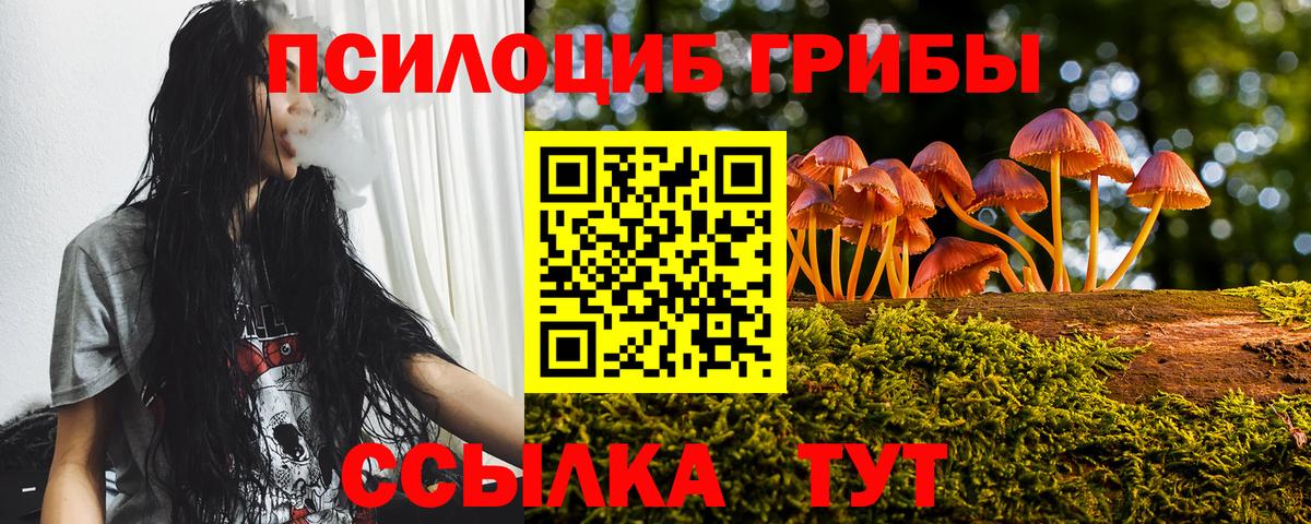 Псилоцибиновые грибы Cubensis  Псилоцибиновые грибы Cubensis  купить наркотики сайты  Феодосия  Вход с VPN 